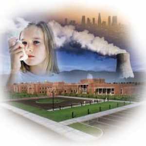 Zagađenje zraka CHP. Ekologija TE
