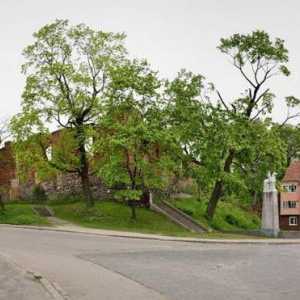 Castle Insterburg: opis, povijest, zanimljive činjenice