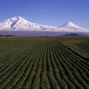 Zapadna Armenija u magli tisućljeća