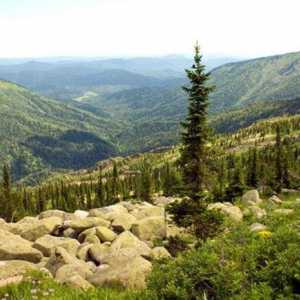 Tigirek rezervat: zaštićena prirodna područja Altai teritorija