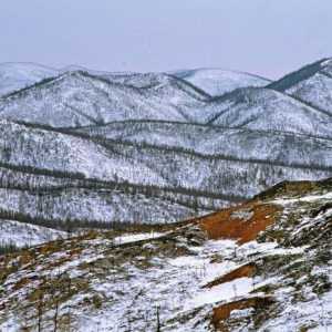Rezerve Khabarovskog područja: opis, zanimljive činjenice i recenzije