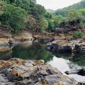 Rezerve su zaštićena područja netaknute prirode
