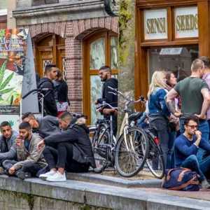 Zašto posjetiti Amsterdam u siječnju: vrijeme, recenzije turista