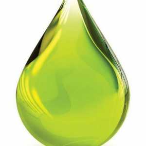 Zeleno ulje: ne samo hranjiv, nego i ukusan proizvod