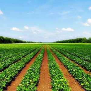 Poljoprivredno zemljište je ... Prijenos poljoprivrednog zemljišta u drugu kategoriju