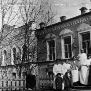 Zemsky bolnice u 19. stoljeću. Otvaranje prvih Zemsky bolnica