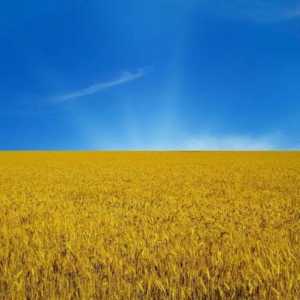 Žuta-plava zastava Ukrajine, njezina povijest i sudbina