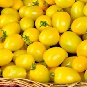 Žuta rajčica za zimu: recepti