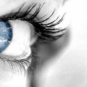 Rigidne plinopropusne kontaktne leće: recenzije, proizvodnja. Briga za tvrde kontaktne leće: dnevni…