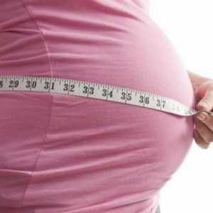 Trbuh je mali u trudnoći: glavni uzroci