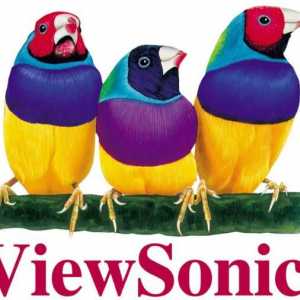 ViewSonic LCD monitori: značajke i povratne informacije