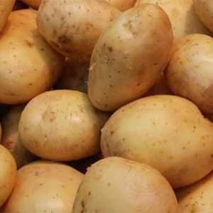 `Zhukovsky` (rano krumpir): recenzije. Krumpir sjeme `zhukovsky`