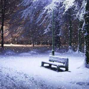 Zima je čarobna sezona. Priroda darove zimi