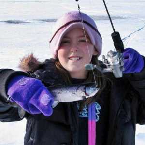 Zimski šator `Bullfinch`: recenzije, proizvođač šatora za zimski ribolov`…