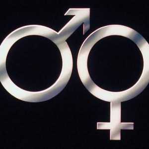 Znak i znak "Žena i muškarac" simbol je jedinstva i oporbe