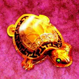 "Zlatna kornjača" (Perm): opis, fotografija