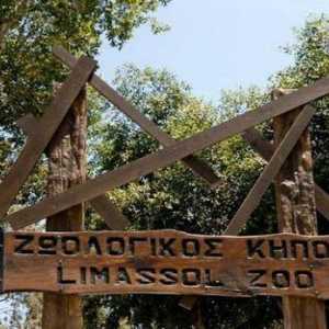 Limassol Zoo: opis kako doći, značajke, način rada i zanimljive činjenice